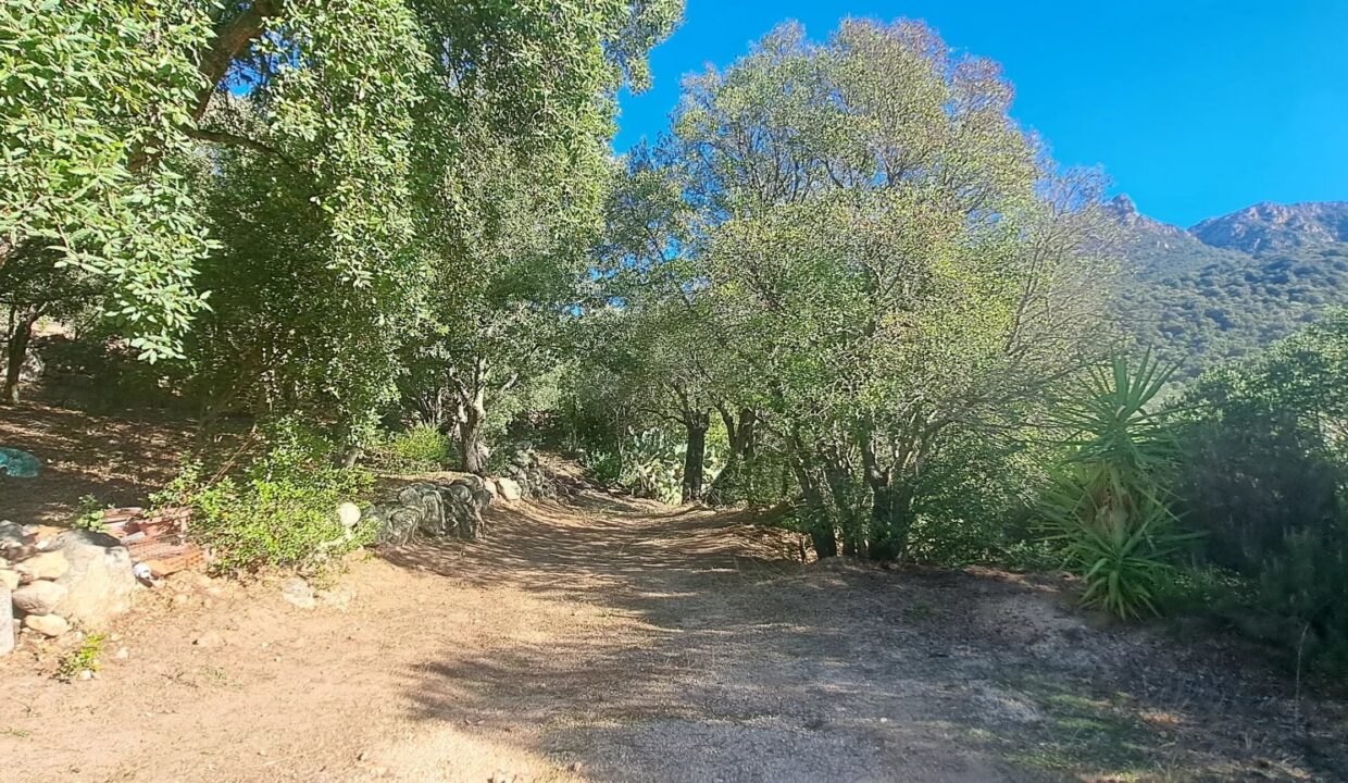 Picture-83630905-22 (1)