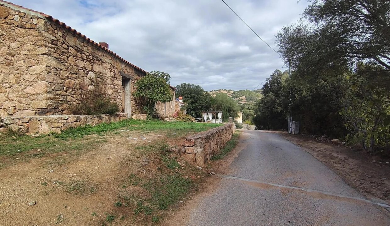 Picture-87537827-30 (1)