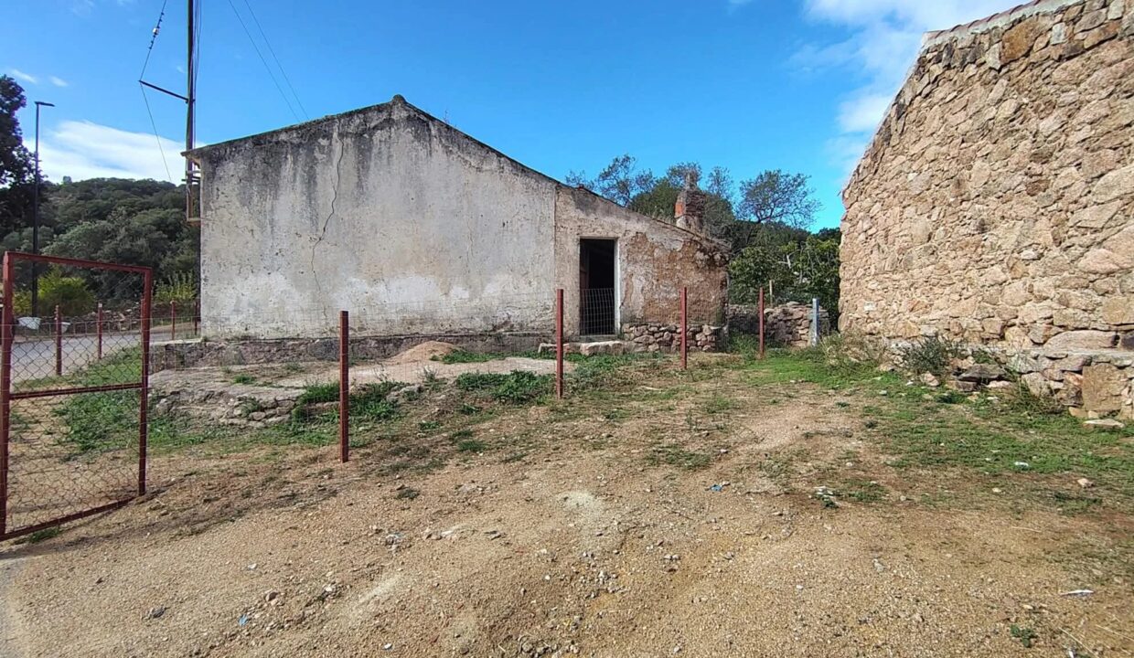 Picture-87537827-5 (1)
